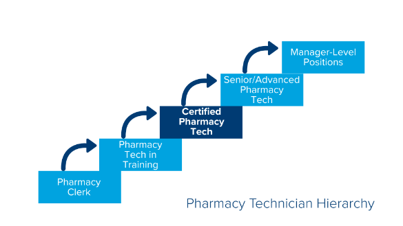 Diagram showing a pharmacy technician's place in the hierarchy, with them being above clerks and technicians in training and below senior pharmacy technicians and manager-level positions